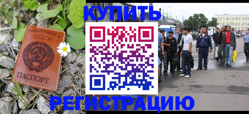 прописка гарантия в Ельне